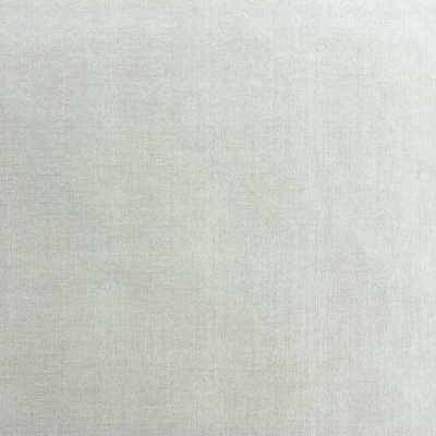 Kravet Couture SO SUBTLE.101.0 So Subtle Upholstery Fabric in White , White , Pearl